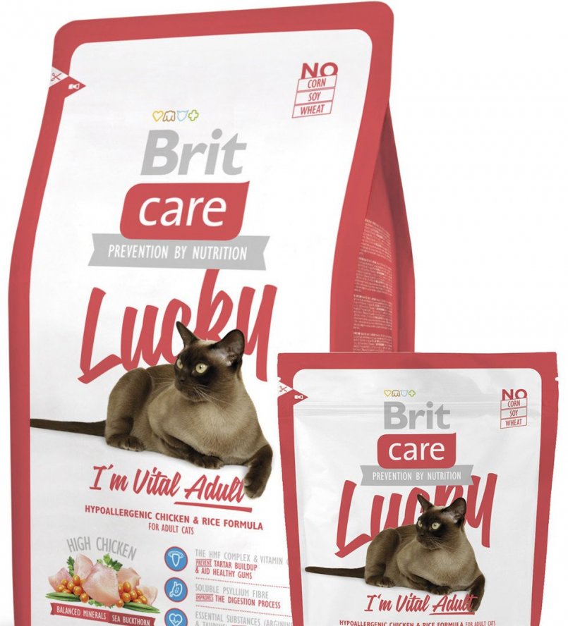 Влажный корм для кошек brit: консервы и паучи из линеек premium и care, их состав. отзывы покупателей о кормах марки