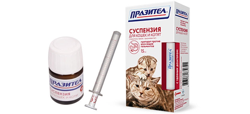 Празител для кошек: котят, инструкция по применению, суспензия, таблетки, дозировка