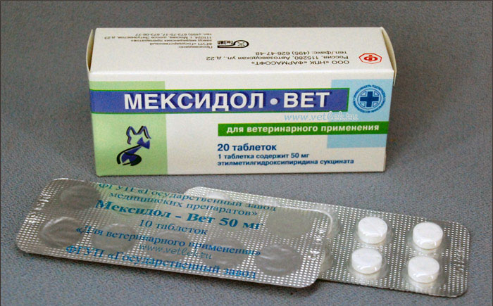 Мексидол - инструкция по применению, описание, отзывы пациентов и врачей, аналоги