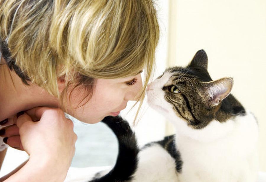 Основные признаки кошачей любви, как понять что кошка вас любит