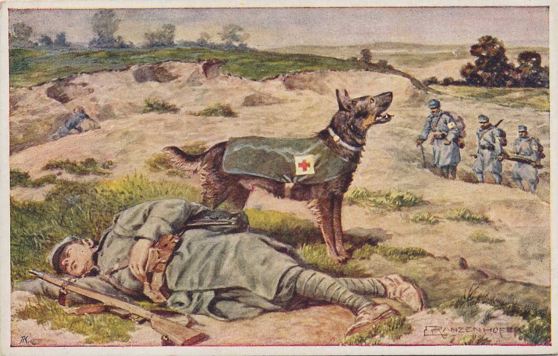 Как собаки помогали солдатам во время войны | fresher - лучшее из рунета за день