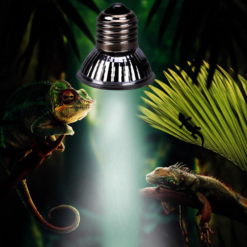 Уф лампа для черепах - секреты выбора, сравнение, польза и вред.