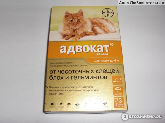 Капли на холку от глистов для кошек: эффективные препараты и их дозировка