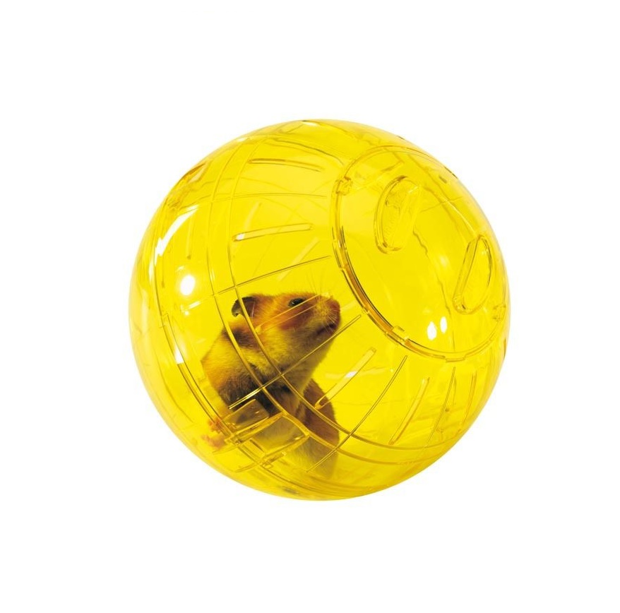 Игрушки для шиншилл (30 фото): описание прогулочного шара и других игрушек. можно ли делать их своими руками?