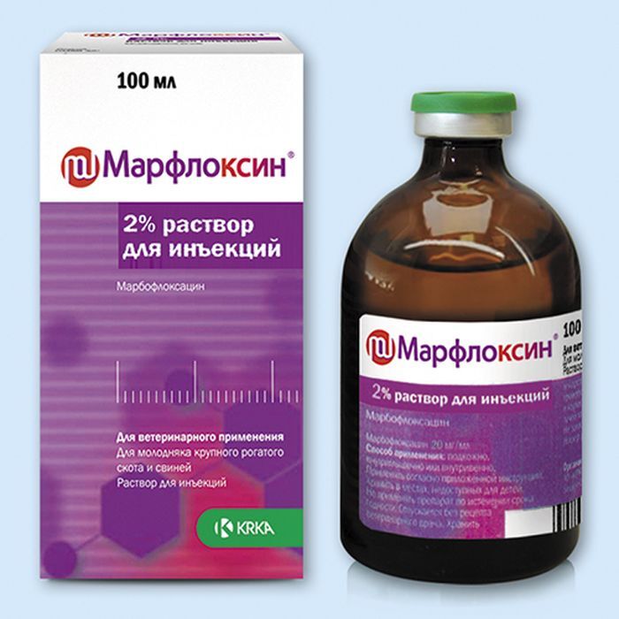 Марфлоксин для собак: инструкция и показания к применению, отзывы, цена
