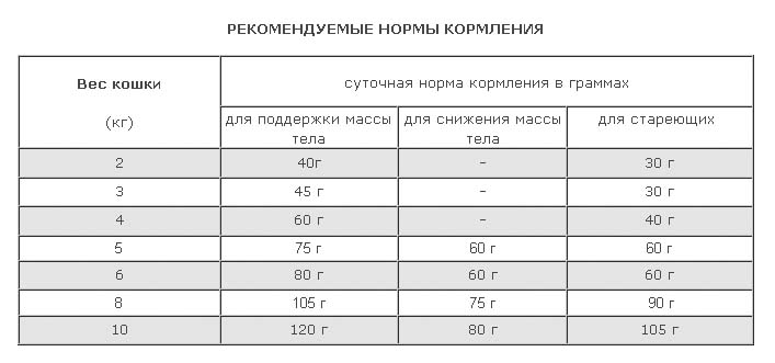 Сколько нужно кормить кошку раз в день