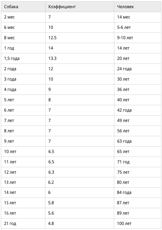 Как определить сколько лет собаке по человеческим меркам таблица фото