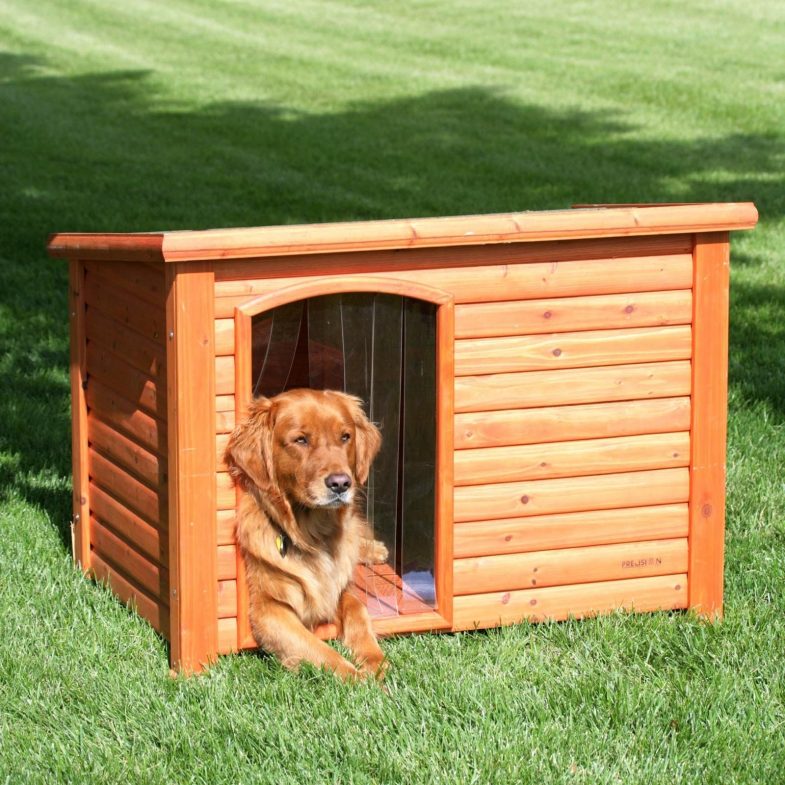 Приучить собаку к будке или вольеру во дворе: 10 советов