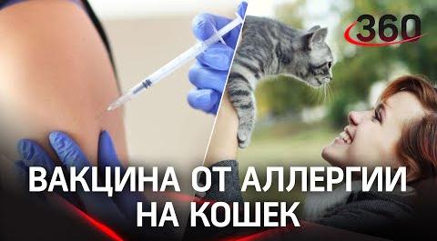 Вакцина от аллергии на кошек