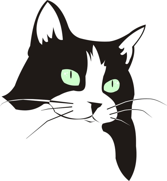 Как нарисовать кошку и кота карандашом поэтапно | для начинающих, рисунок