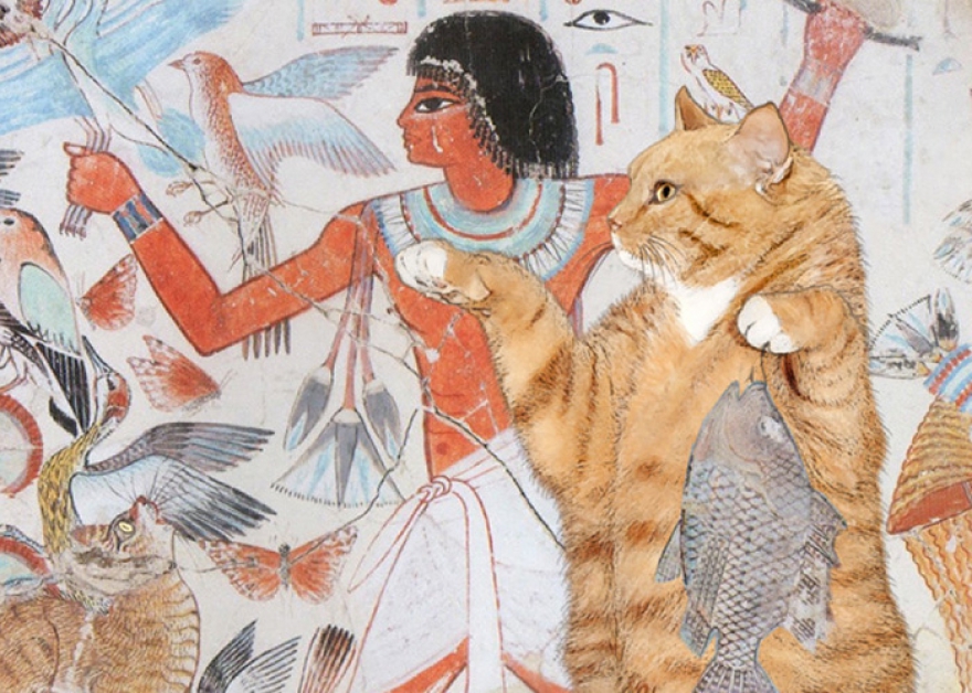 Факты о священных животных, которым поклонялись в древнем египте