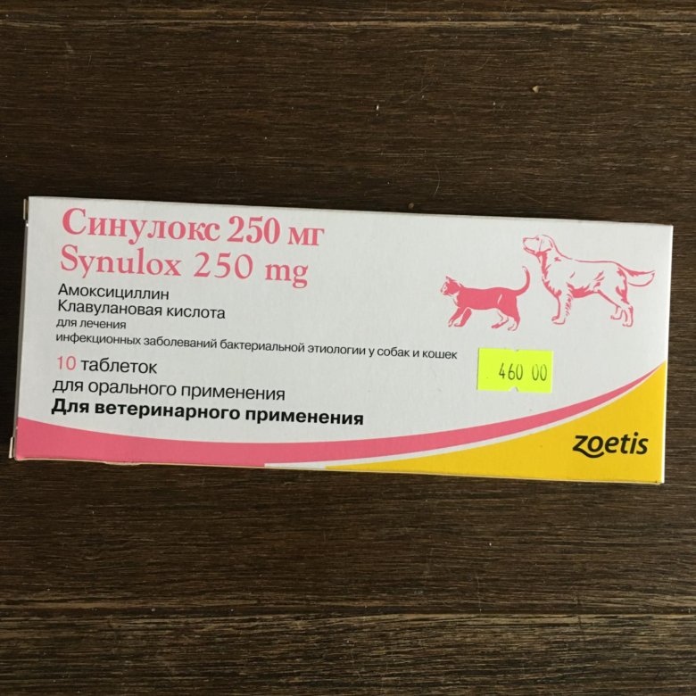Синулокс для собак: инструкция по применению, отзывы