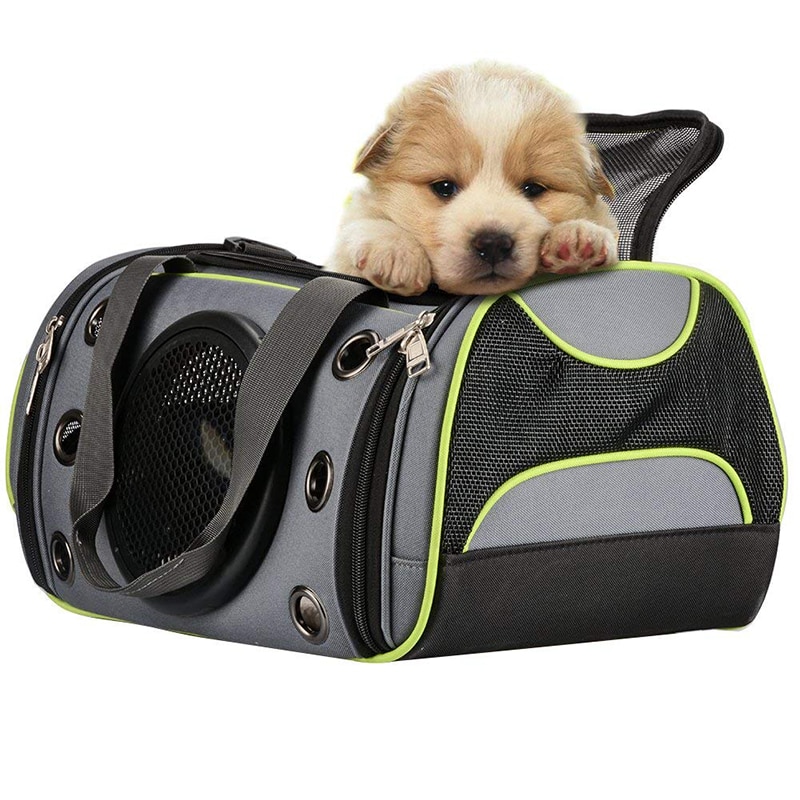Как выбрать размер сумки переноски для собаки