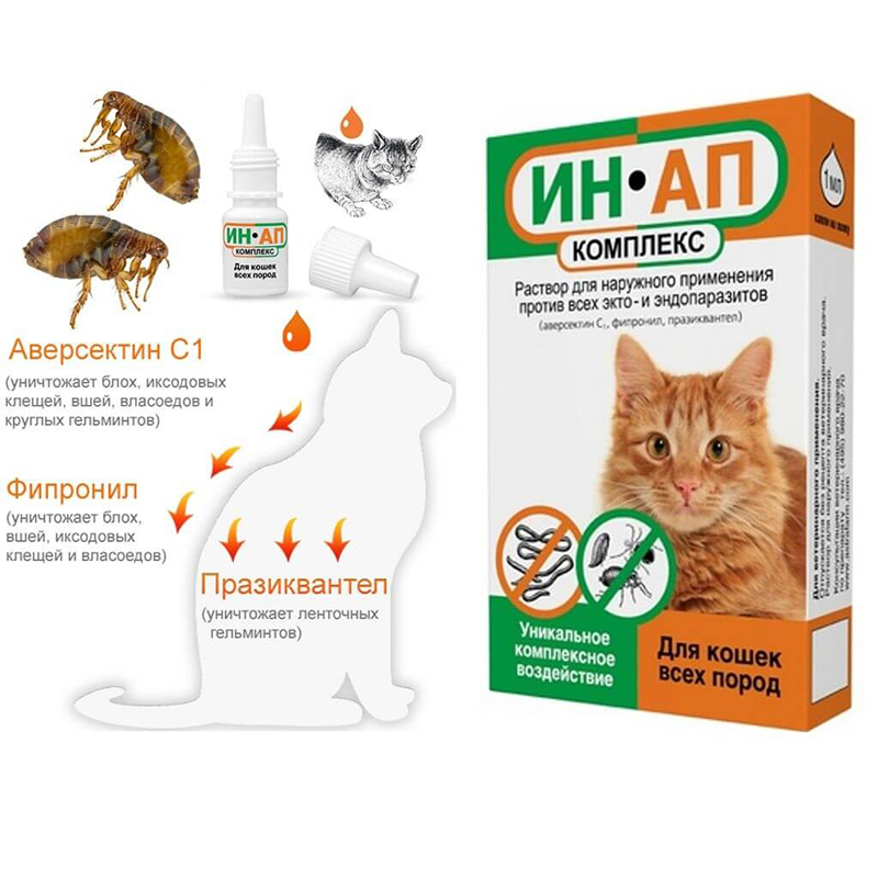 Инструкция по применению капель «ин-ап комплекс» для профилактики и лечения паразитарных инфекций у кошек