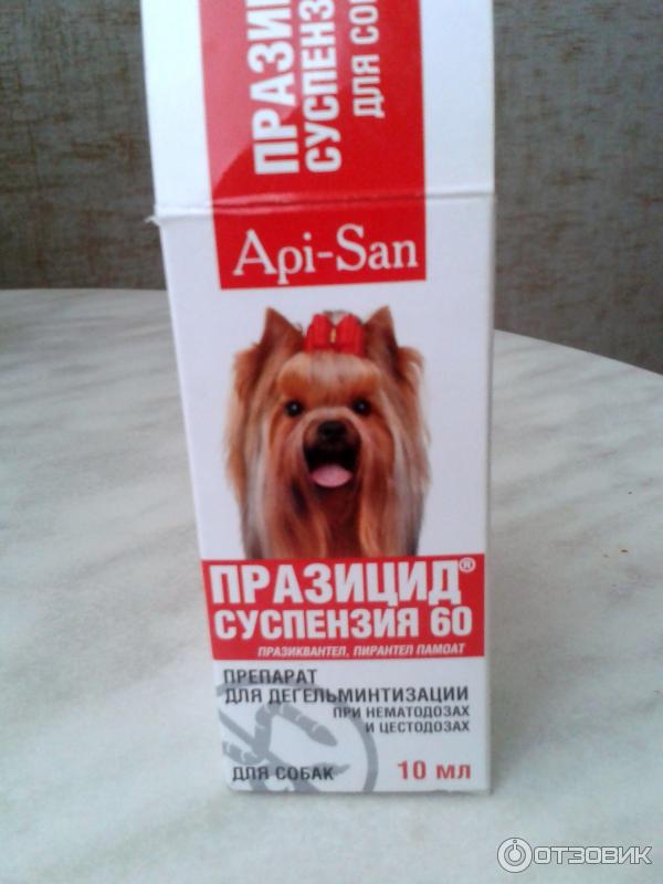 Празицид для собак – особенности антигельминтного препарата, дозировка, отзывы - kupipet.ru