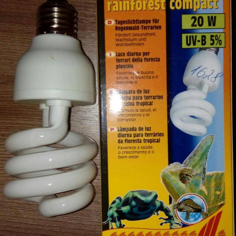 Лампа для красноухих черепах: ультрафиолетовые и инфракрасные. какая нужна и можно ли поставить обычную лампу накаливания? на сколько ватт нужна мощность?