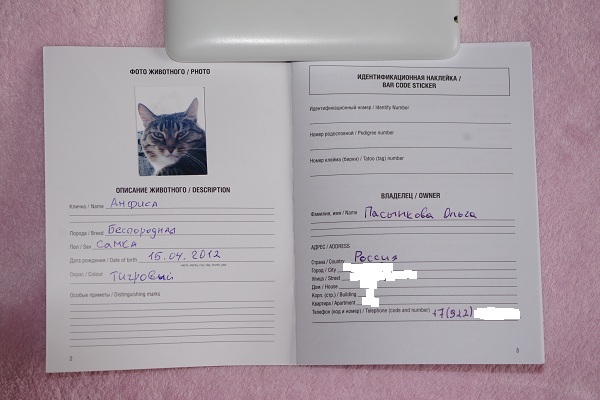 Ветеринарный паспорт для кошки
