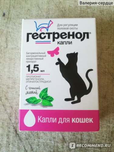 Таблетки гестренол для кошек – инструкция по применению