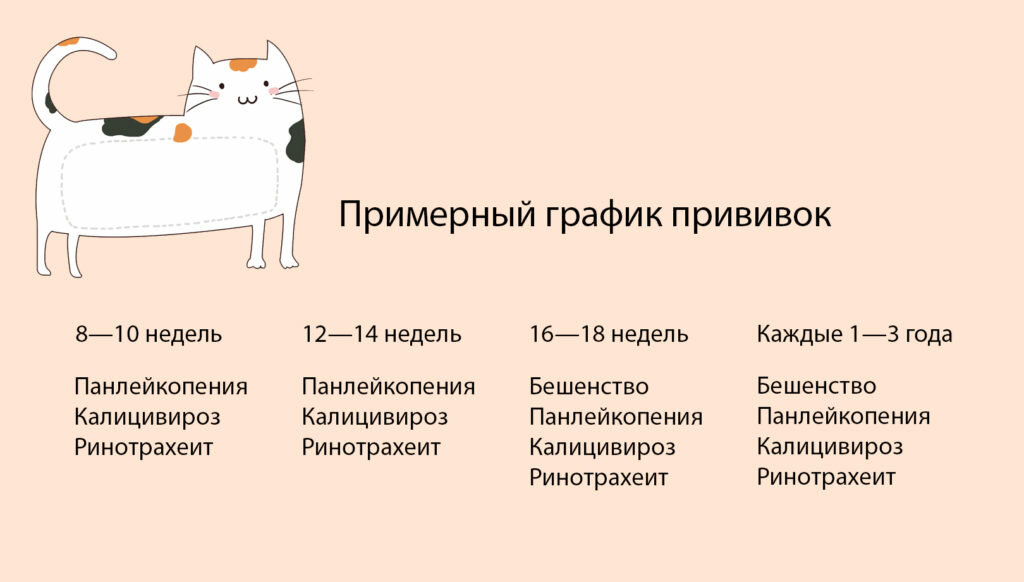 Комплексная прививка для кошек