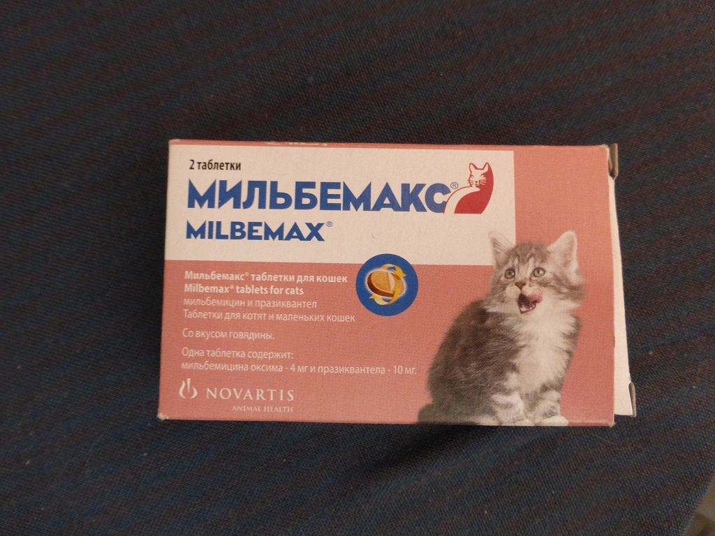 Мильбемакс для кошек: инструкция по применения, цена, отзывы