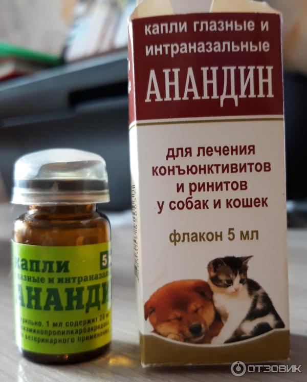 Анандин для кошек:  инструкция по применению препарата