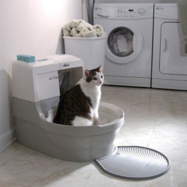 Автоматические туалеты для кошек: особенности, выбор и рейтинг моделей