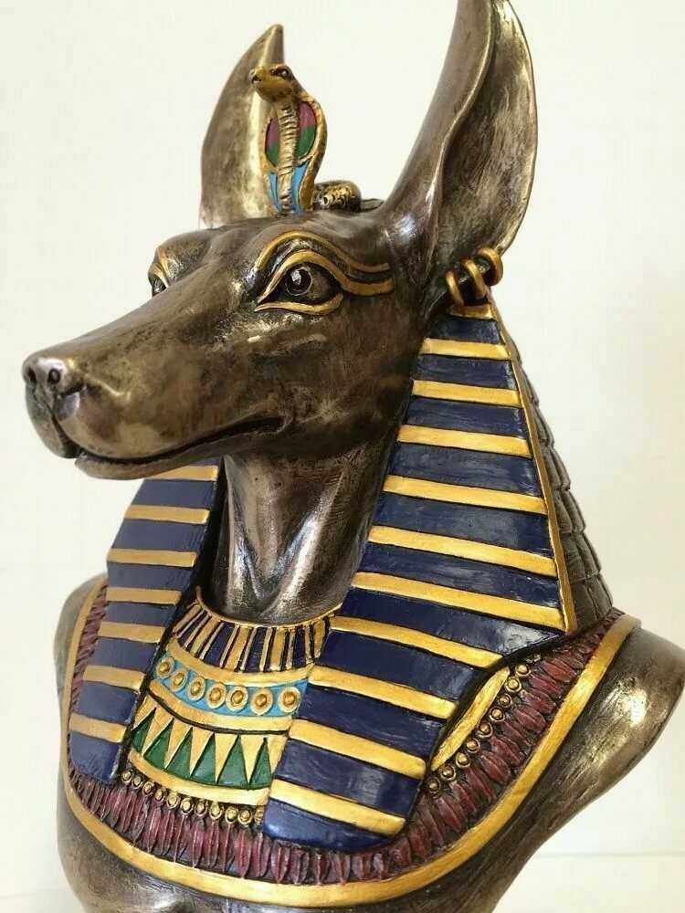 Описание породы фараонова собака