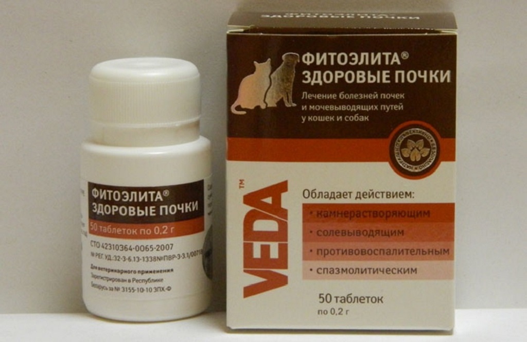 Лекарственный препарат фитоэлита для кошек: применение.
