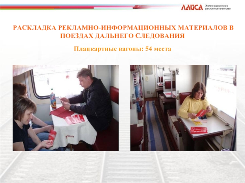 Особенности перевозки животных в поездах ржд в 2020 году — правила для кошек и котов (скачать законы)
