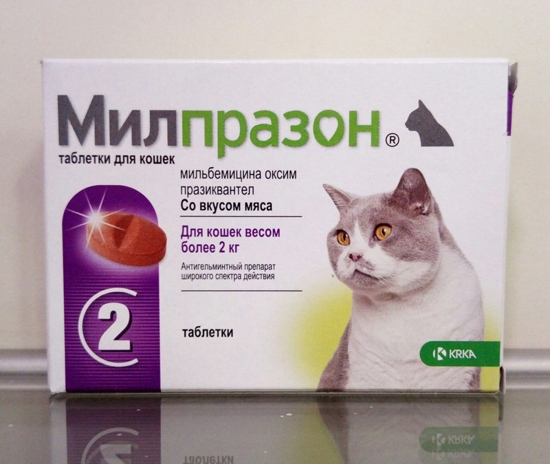 Милпразон для кошек: инструкция по применению таблеток от глистов