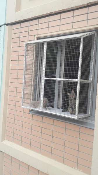 Балкон для кошек: установка сетки, выгул на окно, вольер, домик, игровой комплекс