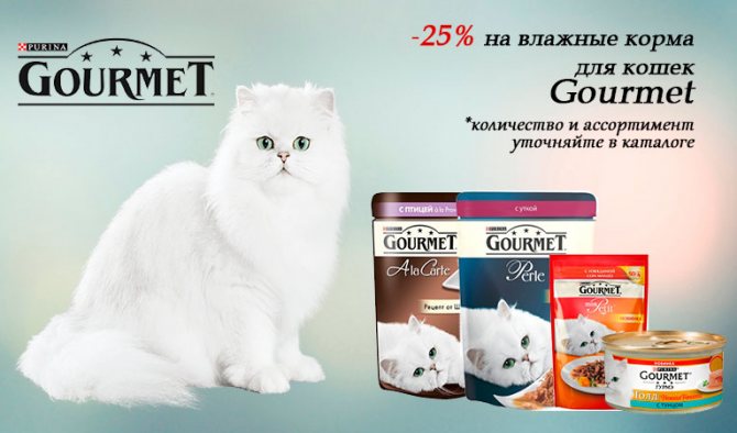 Корм для кошек gourmet: отзывы, разбор состава, цена