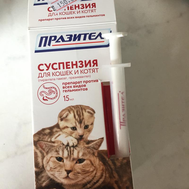 Пирантел кошкам - дозировка, как правильно давать - kotiko.ru
