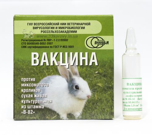 Вакцинация кролика от вирусных болезней — миксоматоза и вгбк