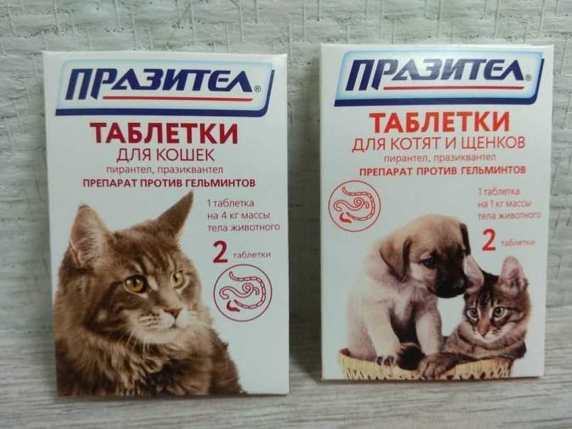 Язвенная болезнь желудка: причины заболевания, методы лечения и профилактики