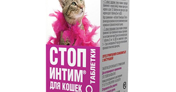 Антисекс для кошек: разновидности эффективных препаратов