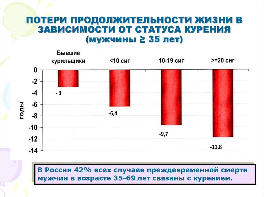 Сколько живут лабрадоры в домашних условиях