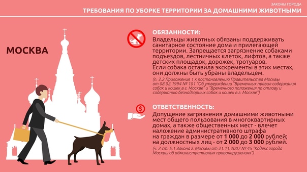 Правила выгула собак - особенности закона россии в 2020 году