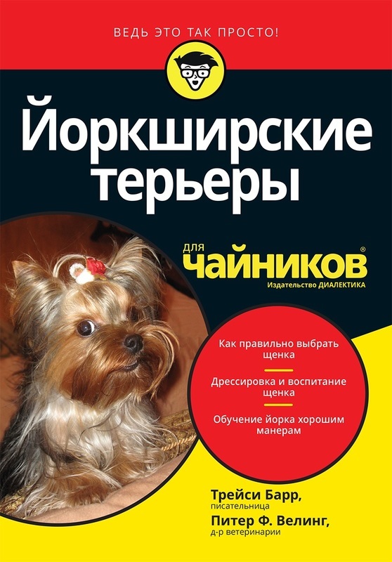 ᐉ как воспитывать щенка йоркширского терьера? - zoomanji.ru