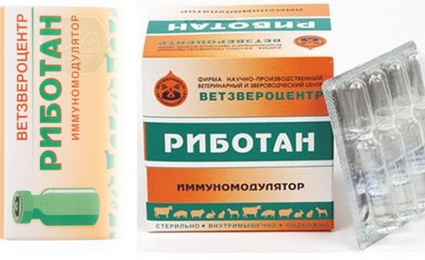 Риботан / ветеринарные препараты купить в ветеринарном интернет-магазине "ветторг", в зоомагазине "ветторг" в москве