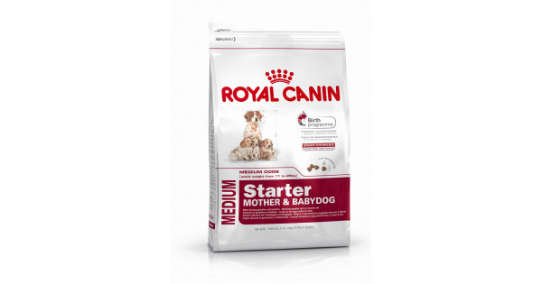 Все о кормах для собак мелких пород royal canin