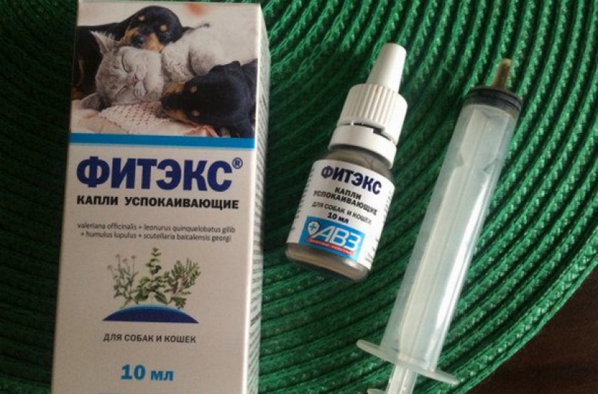 ᐉ фитэкс для собак — инструкция, отзывы, цена - ➡ motildazoo.ru