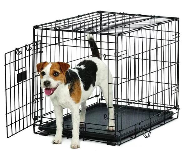 Клетка для собаки: неволя или дом. как сделать жизнь в клетке счастливой.