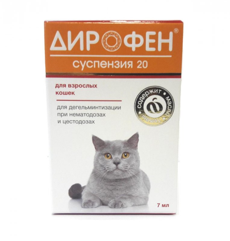 Дирофен для кошек: инструкция по применению, особенности действия и отзывы