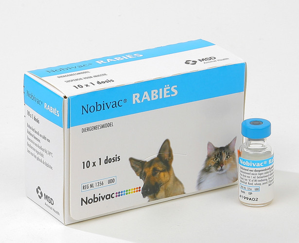 Вакцина рабизин для собак: инструкция по применению с дозировкой, сравнением с нобиваком и другими аналогами. как колоть прививки щенкам от бешенства?