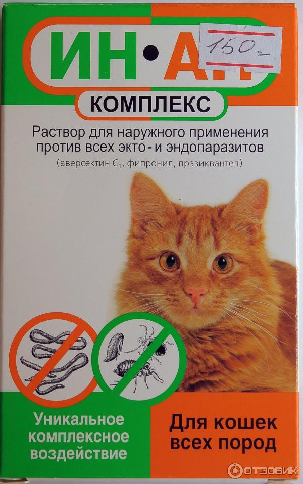 Глистогонные препараты для кошек: топ-11 лучших глистогонных