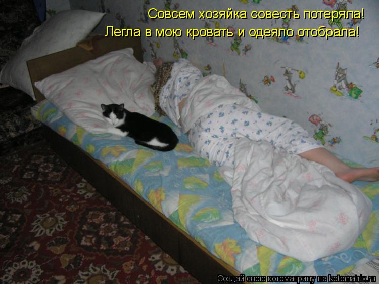 Почему кошка писает на постель? приметы про кошек старая кошка гадит на кровать что делать - новая медицина