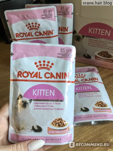 Корм для кошек royal canin: отзывы и разбор состава