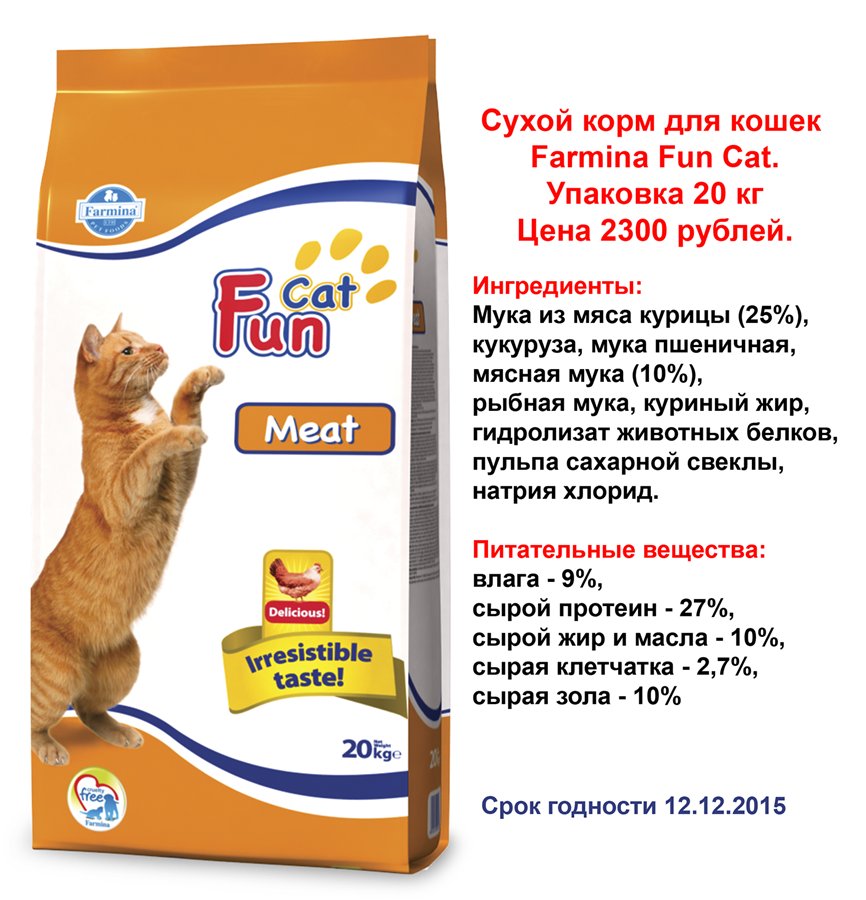 ᐉ обзор корма для кошек matisse - ➡ motildazoo.ru