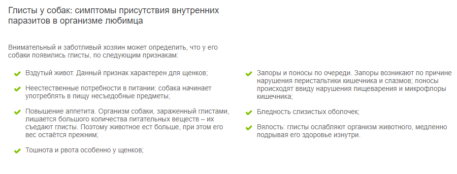 Собака ездит попой по полу причины. Собака елозит попой по полу причины.